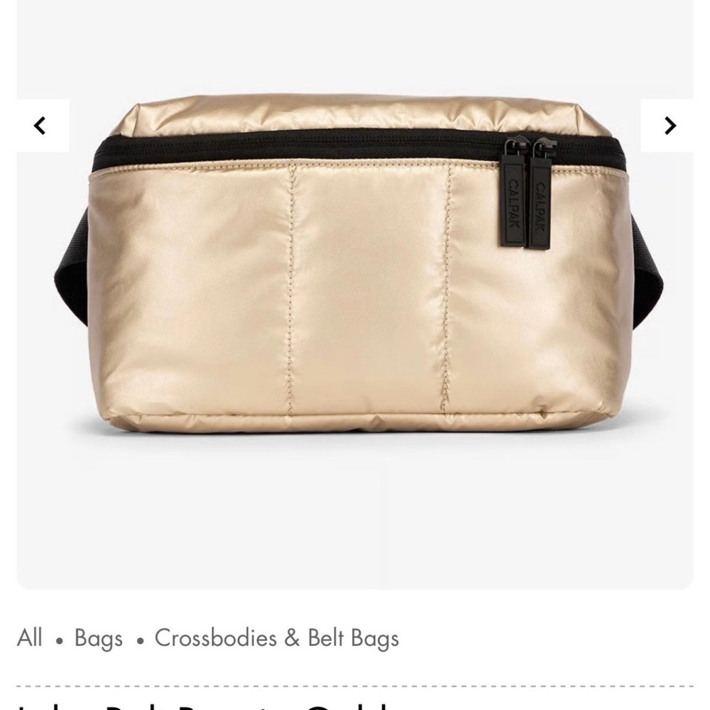 Calpak Gold Travel Belt Bag